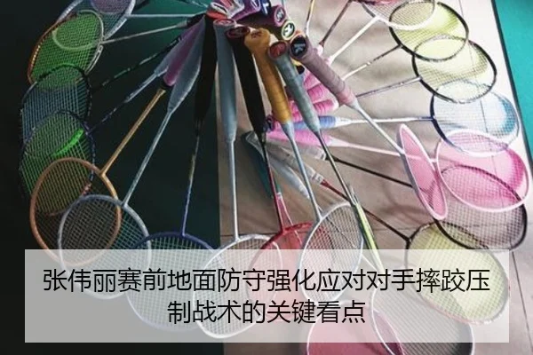 张伟丽赛前地面防守强化应对对手摔跤压制战术的关键看点
